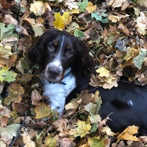 Meet your Posher, Brian